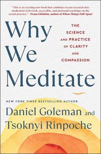 Cover image for Why We Meditate