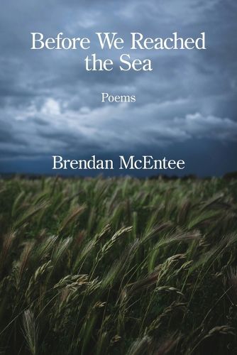 Cover image for Before We Reached the Sea