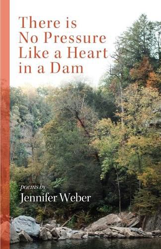 Cover image for There is No Pressure Like a Heart in a Dam