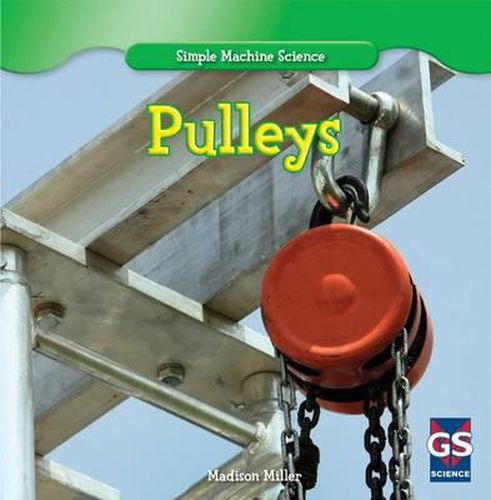 Cover image for Pulleys