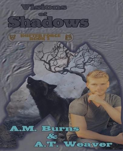 Cover image for Visions of Shadows