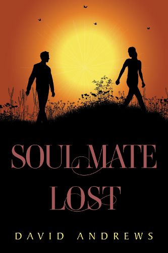 Cover image for Soul Mate Lost