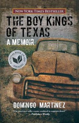 Boy Kings of Texas: A Memoir