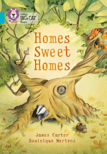 Cover image for Homes Sweet Homes: Band 07/Turquoise