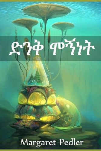 Cover image for &#4853;&#4757;&#4677; &#4638;&#4765;&#4752;&#4725;: The Splendid Folly, Amharic edition