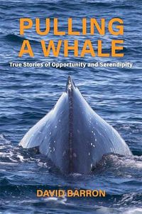 Cover image for Pulling a Whale: True Stories of Opportunity and Serendipity
