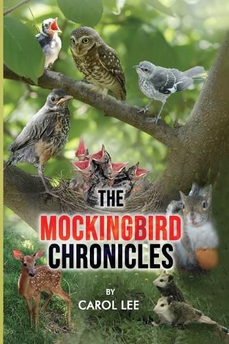 Cover image for The Mockingbird Chronicles