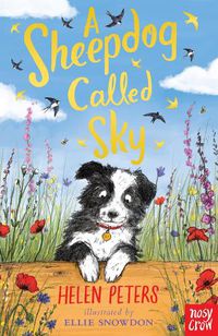 Cover image for A Sheepdog Called Sky