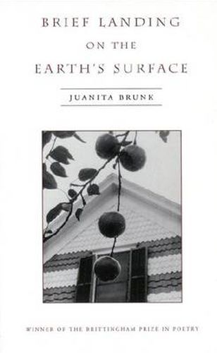 Cover image for Brief Landing on the Earth's Surface