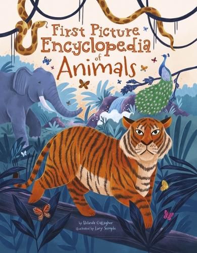 Cover image for First Picture Encyclopedia of Animals