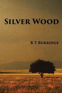 Cover image for Silver Wood