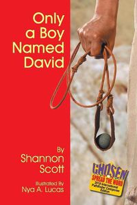 Cover image for Only a Boy Named David