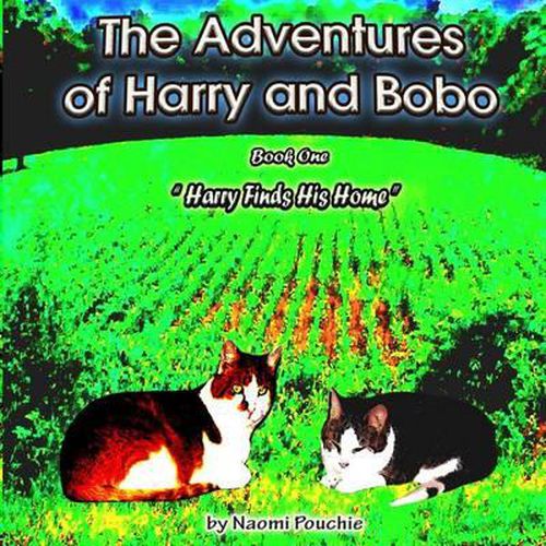 Cover image for Harry Finds His Home