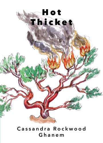 Cover image for Hot Thicket