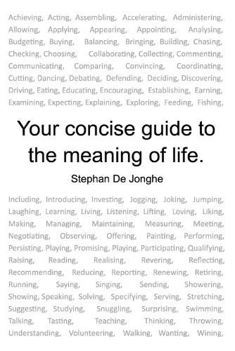 Cover image for Your concise guide to the meaning of life