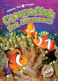 Cover image for Clownfish and Sea Anemones