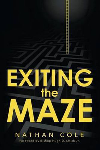 Cover image for Exiting the Maze