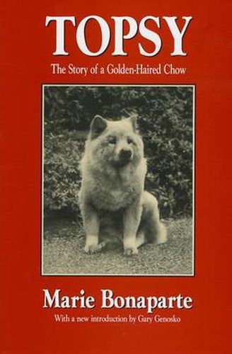 Cover image for Topsy: The Story of a Golden-haired Chow