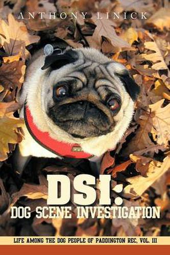 Cover image for Dsi