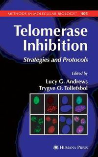 Cover image for Telomerase Inhibition: Strategies and Protocols