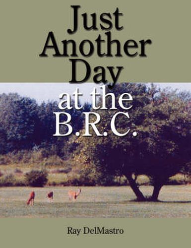 Cover image for Just Another Day at the B.R.C.