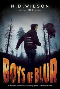 Cover image for Boys of Blur