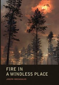 Cover image for Fire in a Windless Place