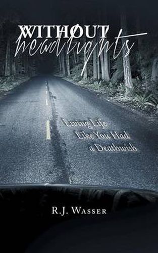 Cover image for Without Headlights
