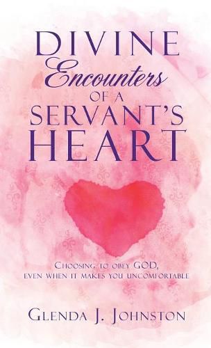 Cover image for Divine Encounters of a Servant's Heart