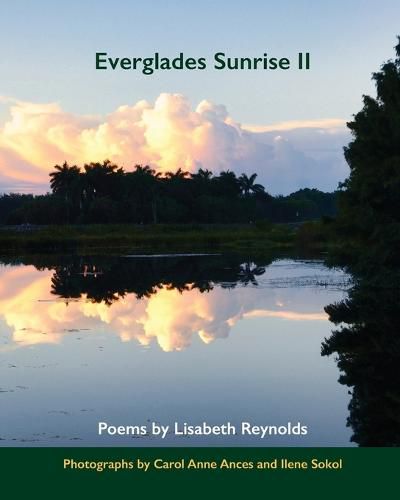 Cover image for Everglades Sunrise II