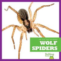 Cover image for Wolf Spiders