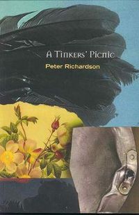 Cover image for A Tinker's Picnic