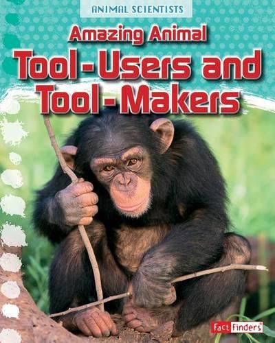 Tool-Users and Too-Makers