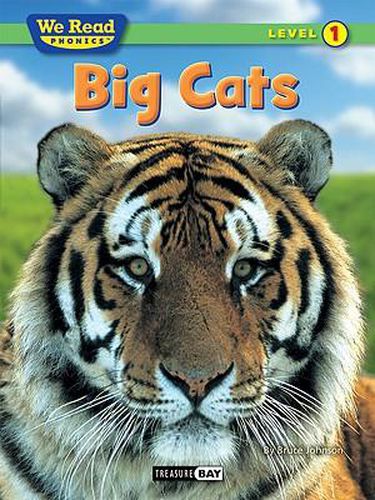 Cover image for Big Cats