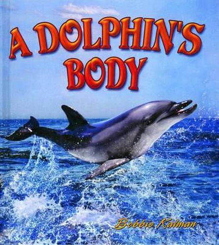 Cover image for A Dolphin's Body