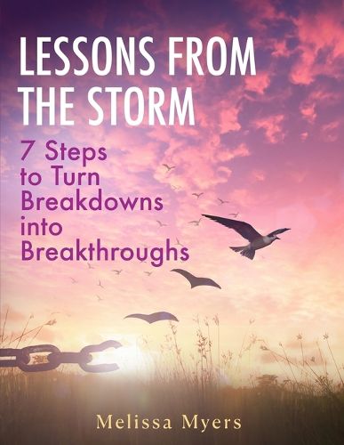 Cover image for Lessons From The Storm