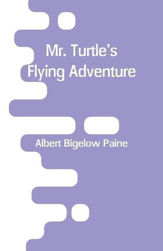 Cover image for Mr. Turtle's Flying Adventure