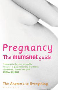 Cover image for Pregnancy: The Mumsnet Guide: The Answers to Everything