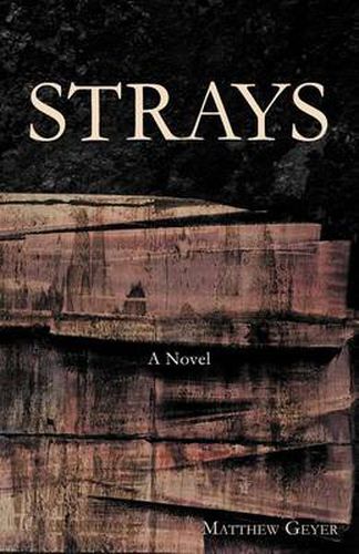 Cover image for Strays