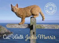 Cover image for Cat Walk Notecards