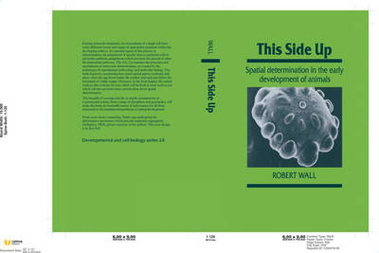 Cover image for This Side Up: Spatial Determination in the Early Development of Animals