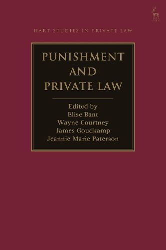 Cover image for Punishment and Private Law