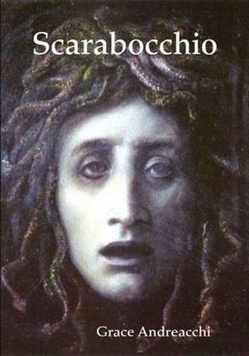 Cover image for Scarabocchio