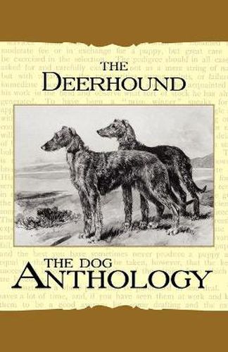 The Deerhound - A Dog Anthology (A Vintage Dog Books Breed Classic)