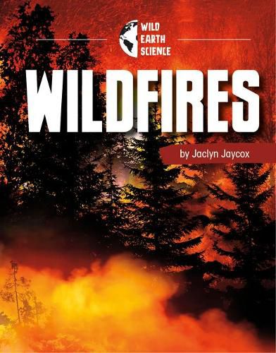 Cover image for Wildfires Wild Earth Science