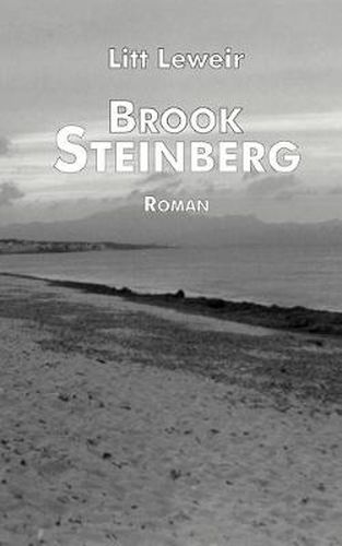 Cover image for Brook Steinberg