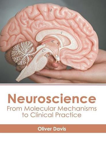 Cover image for Neuroscience: From Molecular Mechanisms to Clinical Practice