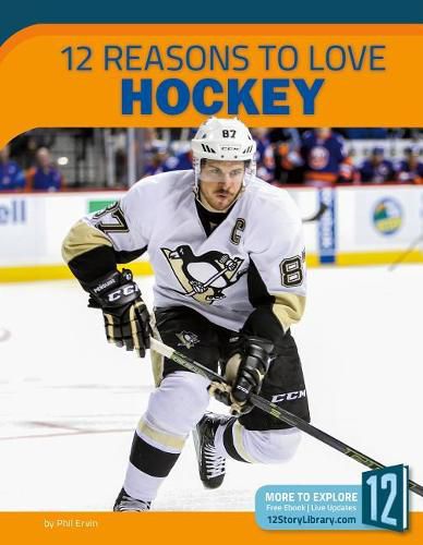 Cover image for 12 Reasons to Love Hockey