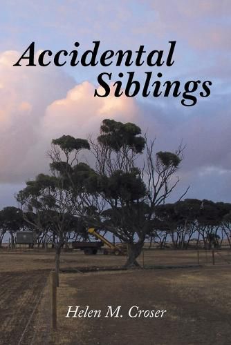 Cover image for Accidental Siblings: Family Connections