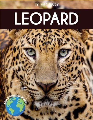 Cover image for Leopard